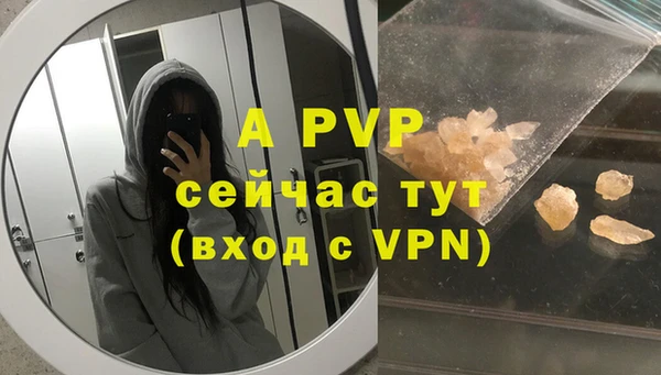 СК Пролетарск