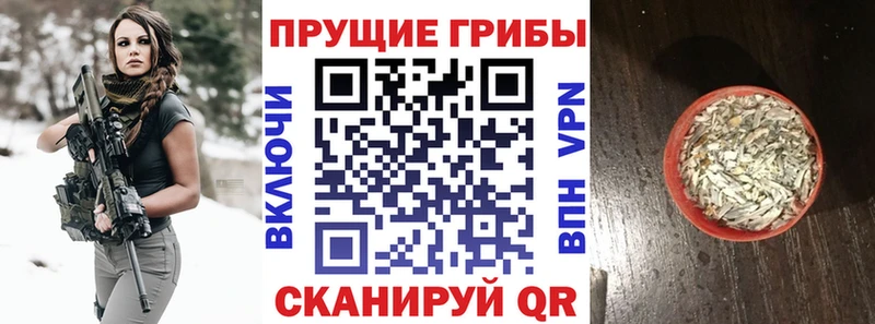 гидра зеркало  Усть-Кут  маркетплейс Telegram  Псилоцибиновые грибы прущие грибы 